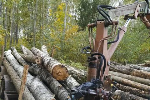 Dragging and loading birch logs with crane arm on the tractor Fotos Stock