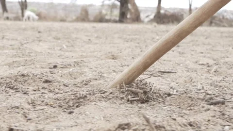 Dragging A Stick Along The Ground In Slow Motion Stock Footage 319305458