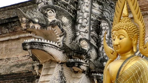 Dragon and Buddha Stock Footage 65623692