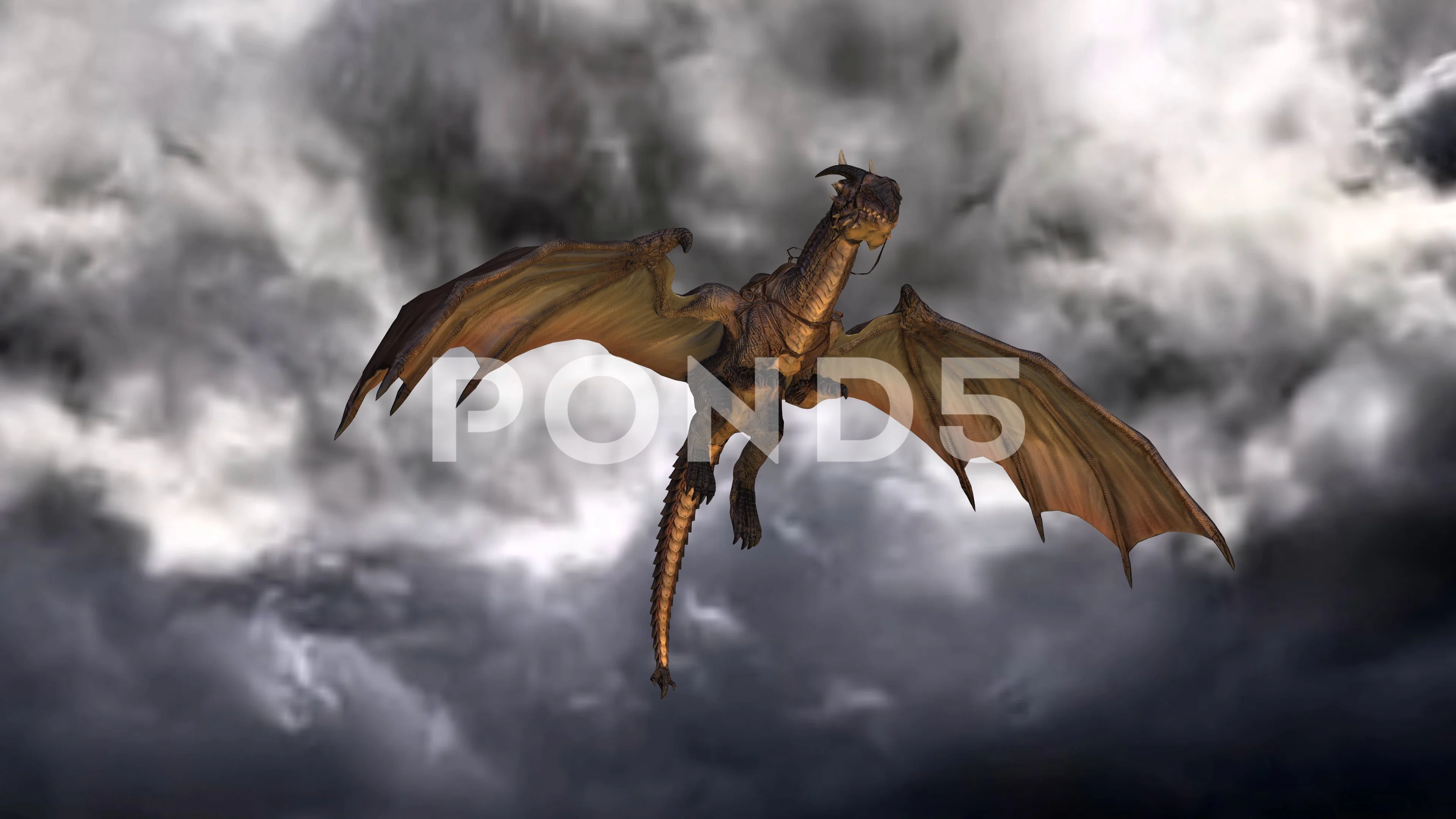 Dragon Animation Stock Footage ~ Royalty Free Stock Videos | Pond5 Dragon Animation Stock Footage ~ Royalty Free Stock Videos | Pond5