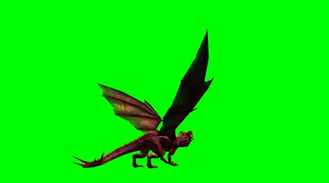 Dragon animation - green screen Video stock 36525560