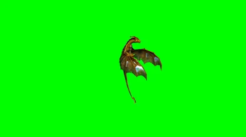 Dragon attacking - green screen Stock Footage 36563821