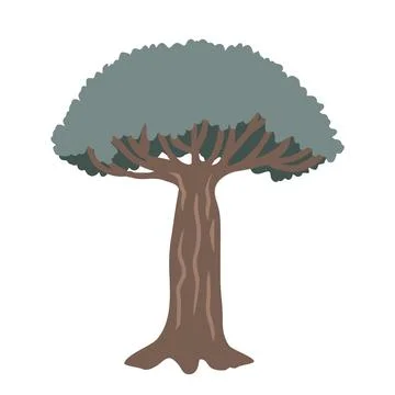 Dragon blood tree on a white background, vector isolated illustration. Stock Illustration