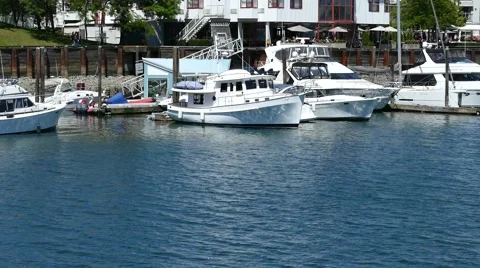 Dragon boat passing by. Vidéo 64284740