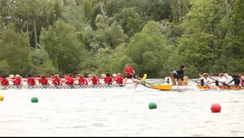 Dragon Boat Race Stock Footage 7340466