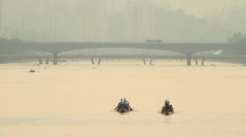 Dragon boat races Stock Footage 905085