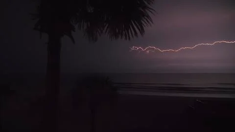 Dragon Bolt 库存照片