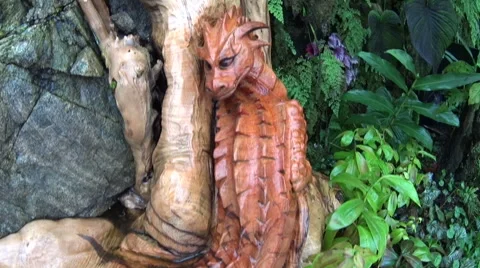 Dragon carving from raw wood in the Cloud Forest Stock Footage 61042995