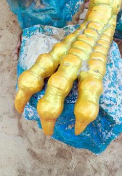 Dragon claw Stock Photos