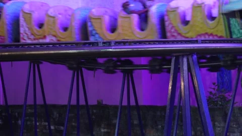 Dragon Coaster Kids Stock Footage 328529586