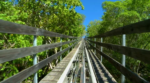 Dragon Coaster - Roller Coaster, Part 2 Stock Footage 53086188