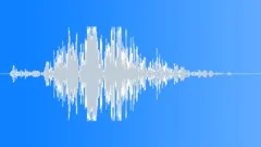 Dragon / Creature / Demon Wing Flap 109 (Film, Television, Video Games) Sound Effect