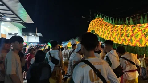 Dragon dance Stock Footage 324599154