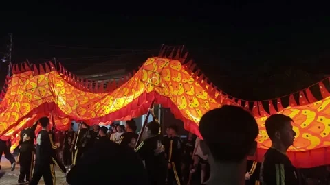 Dragon dance performance Stock Footage 325403837