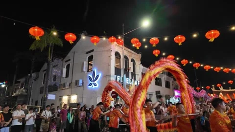 Dragon dance performance lights up the night. Stock-Footage 318260681
