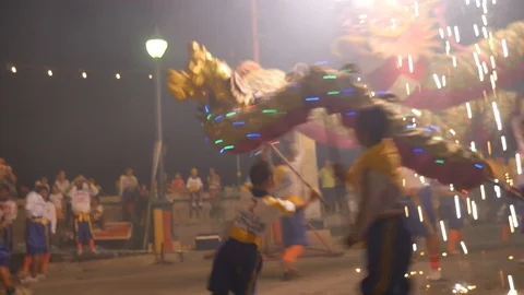 Dragon dance/lion dance Stock Footage 103845875