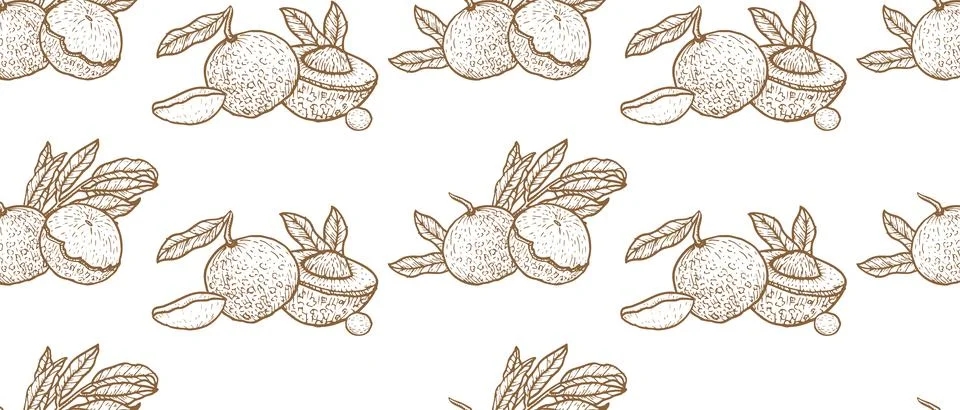 Dragon eye longan vector seamless pattern with fruits for food and cosmetic Stock Illustration