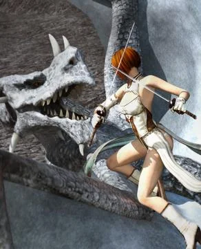 Dragon Fighter Stock Illustration