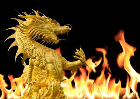 Dragon with fire background Stock Photos