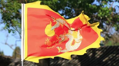 Dragon flag Video stock 29456889