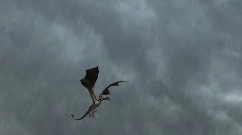 Dragon Flies in thunderstorms close up Video stock 40226379