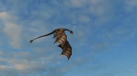 Dragon in flight - close up Video stock 40225907