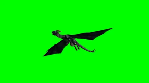 Dragon in flight - green screen Stock Footage 36178482