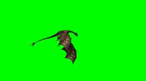 Dragon in flight - green screen Stock-Footage 40225431