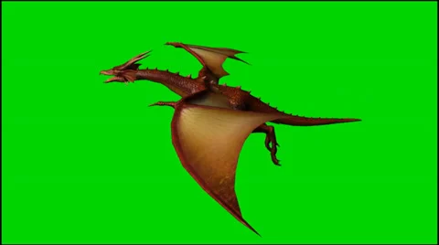 Dragon in flight - isolated green screen footage - Clip 9 스톡 동영상 33643171