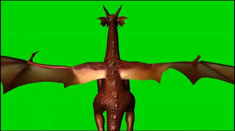 Dragon in flight - seperated on  green screen  Stock-Footage 33643269