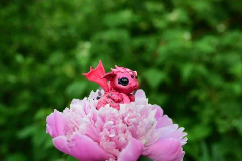 Dragon on a flower Stock Photos