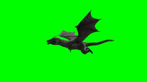 Dragon fly 3D render on green background Stock-Footage 106552521