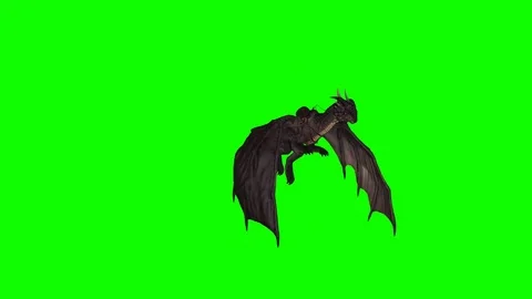 DRAGON FLY WITH ANGLE Stock Footage 82550712