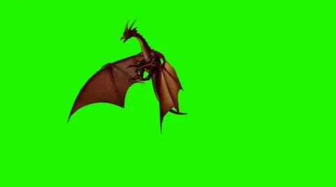 Dragon fly attack 2 - green screen Stock Footage 48528955