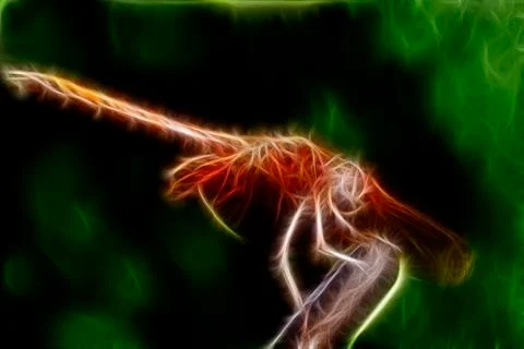Dragon fly close up shot. Stock Illustration