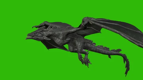 Dragon fly Video stock 287063394