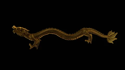 Dragon fly loop Stock Footage 139900061