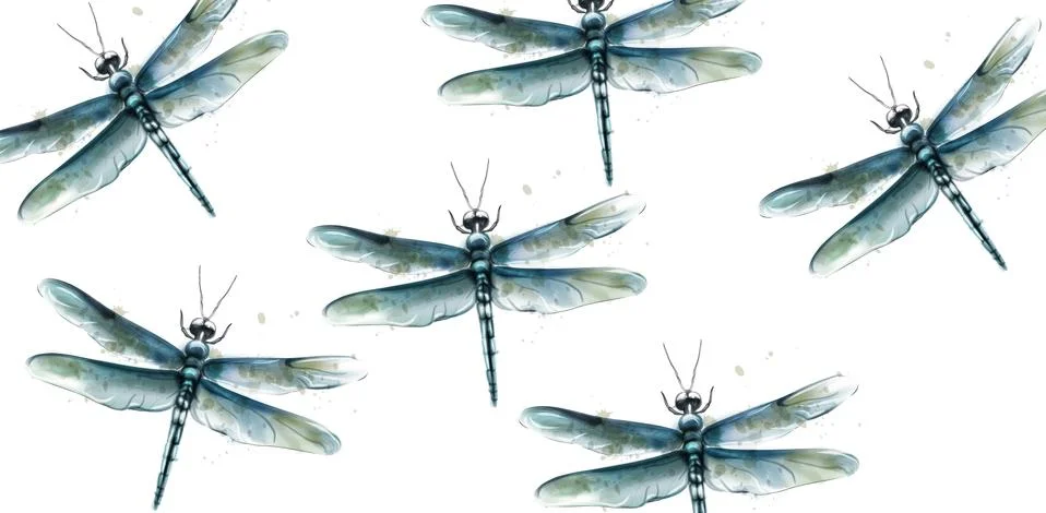 Dragon fly pattern Vector watercolor. Spring summer texture designs Stock Illustration