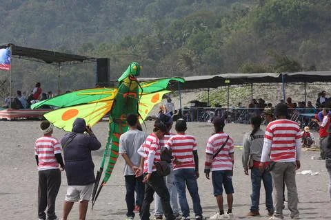 Dragon fly Stock Photos