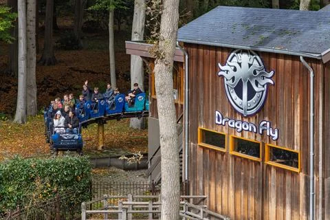 The Dragon Fly roller coaster glides through a dense forest setting, passing Stock Photos