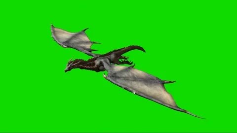 Dragon Flying on Green Screen 01 Stock Footage 222549136