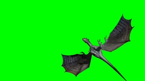 Dragon Flying on Green Screen 01 Stock Footage 237155821