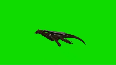 Dragon Flying on Green Screen 02 Stock Footage 222549147