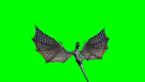 Dragon Flying on Green Screen 02 Video stock 237155839