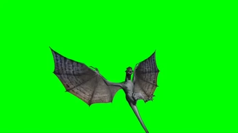 Dragon Flying on Green Screen 03 Stock Footage 222549149