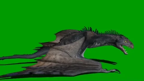 Dragon Flying on Green Screen 04 Stock Footage 237155877