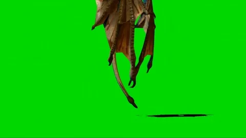 Dragon Flying on Green Screen 05 Stock Footage 222549216