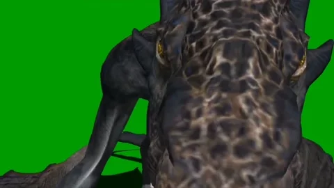 Dragon Flying on Green Screen 05 Stock Footage 237155896
