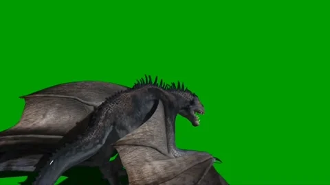 Dragon Flying on Green Screen 06 Stock Footage 237155897