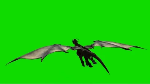 Dragon Flying on Green Screen 07 Stock Footage 222549223